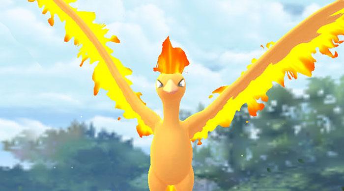 Woohoo a shiny Moltres after one battle set today : r/pokemongo